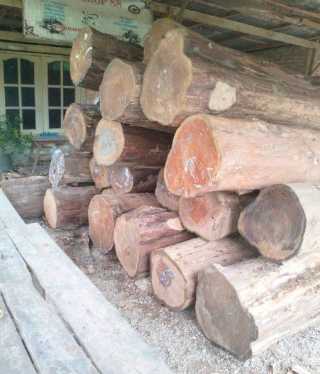 Harga Kayu Jati Per Kubik