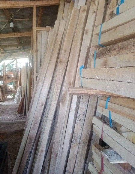 Harga Kayu Kaso Albasia