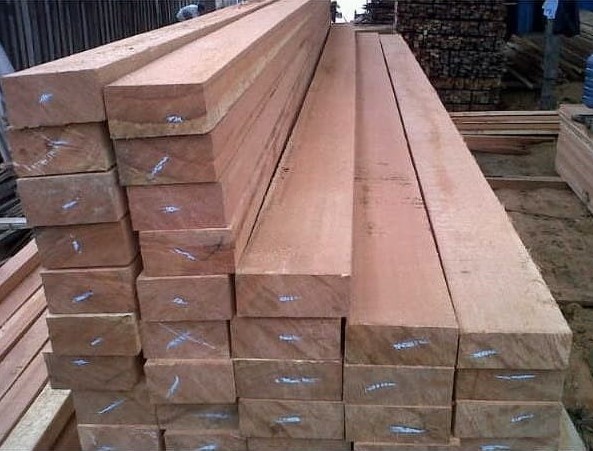 Harga Kayu Kaso Borneo Per Batang