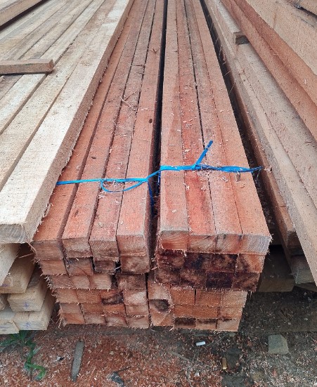 Harga Kayu Kaso Meranti